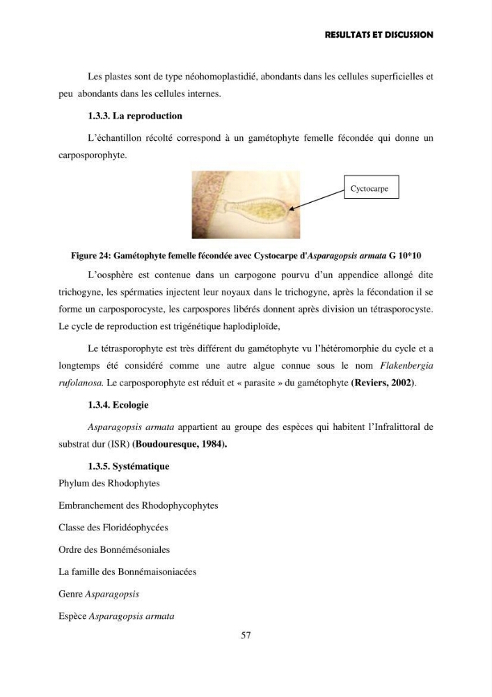 Composition biochimique de quelques espèces d\'algues marines aux possibilités alimentaires: