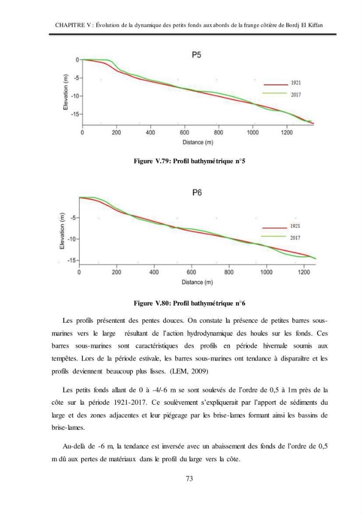 Impacts de l\'implantation des ouvrages de protection sur frange côtière de Bordj El Kiiffan