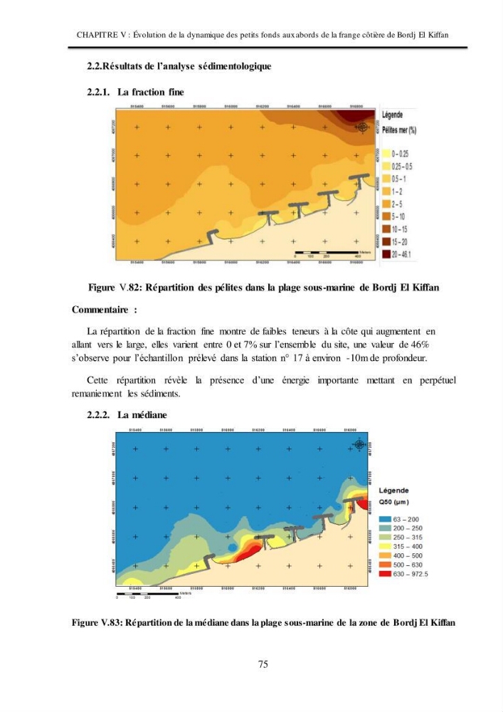 Impacts de l\'implantation des ouvrages de protection sur frange côtière de Bordj El Kiiffan
