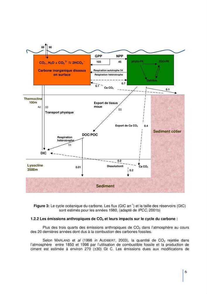 Etude du cycle biogéochimique du carbone dans le bassin algéro-provençal