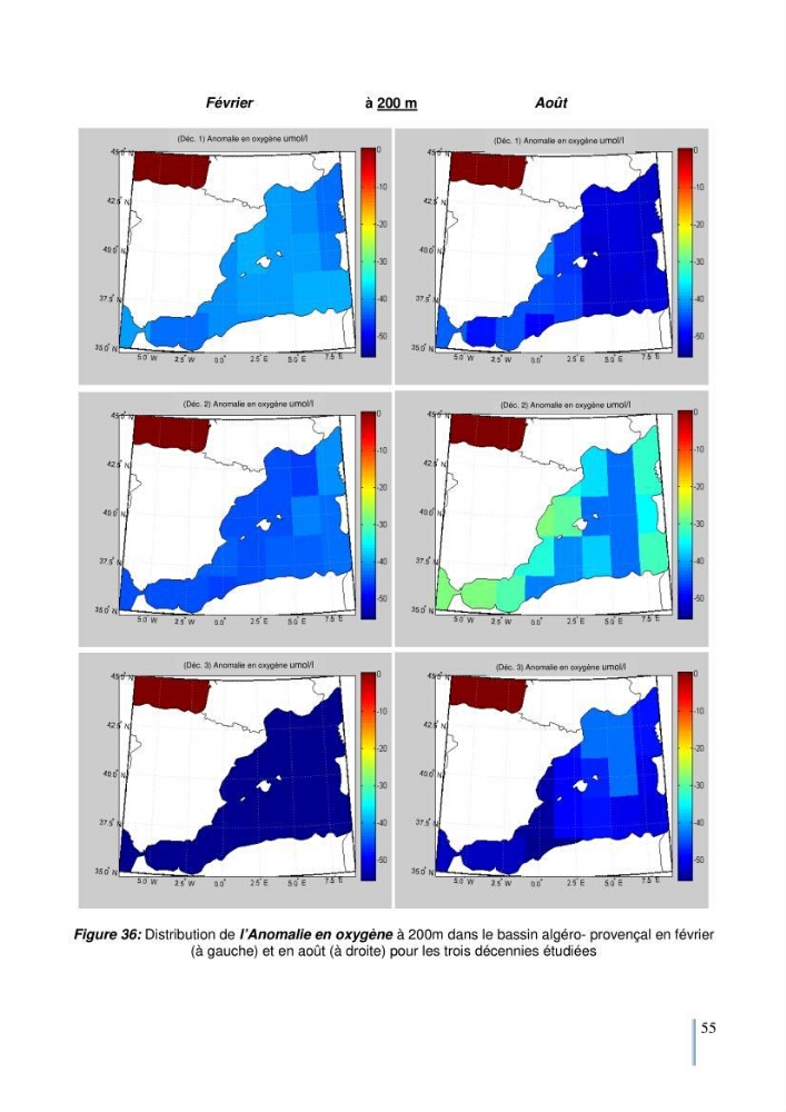 Etude du cycle biogéochimique du carbone dans le bassin algéro-provençal