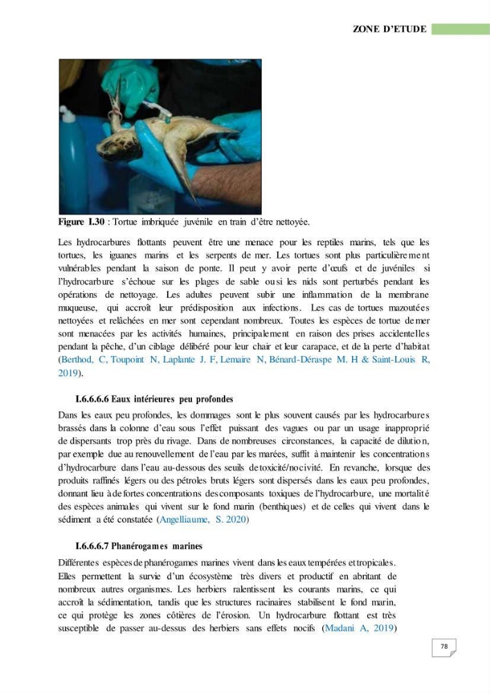 Simulation de la qualité de l’eau de la zone côtière oranaise par modélisation numérique et combinaison de données multi-sources satellitales