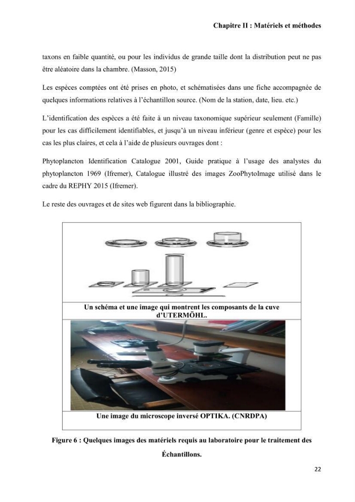 Contribution à l\'étude de la relation proies-prédateurs au sein des écosystèmes pélagiques de la côte Algérienne: