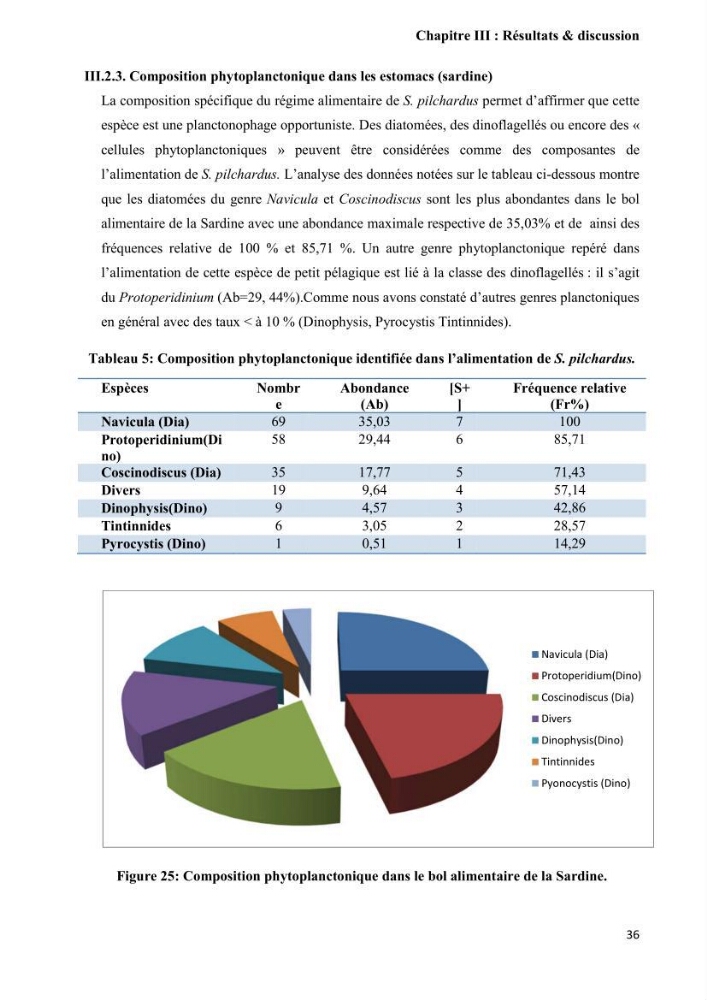 Contribution à l\'étude de la relation proies-prédateurs au sein des écosystèmes pélagiques de la côte Algérienne: