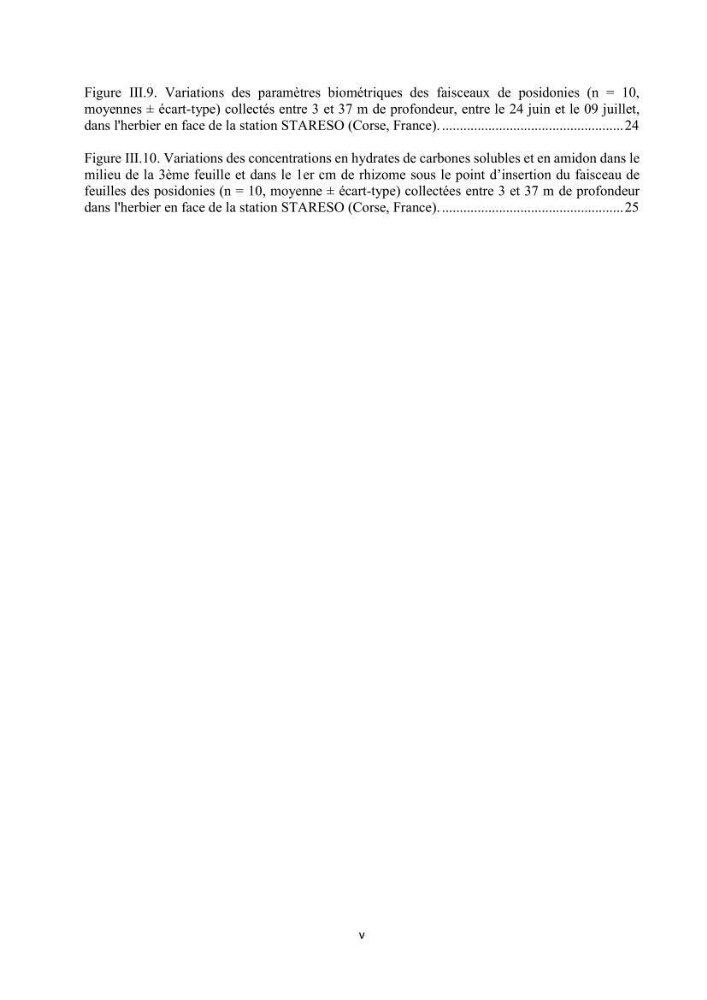 Etude échophysiologique de Posidonia oceanica (L.) Delile