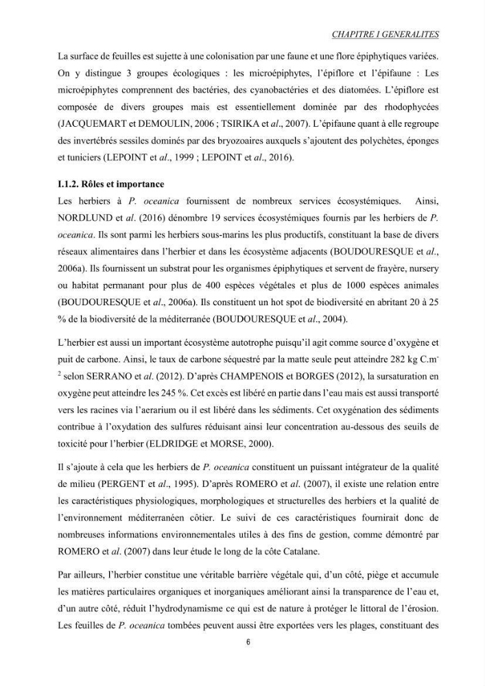 Etude échophysiologique de Posidonia oceanica (L.) Delile