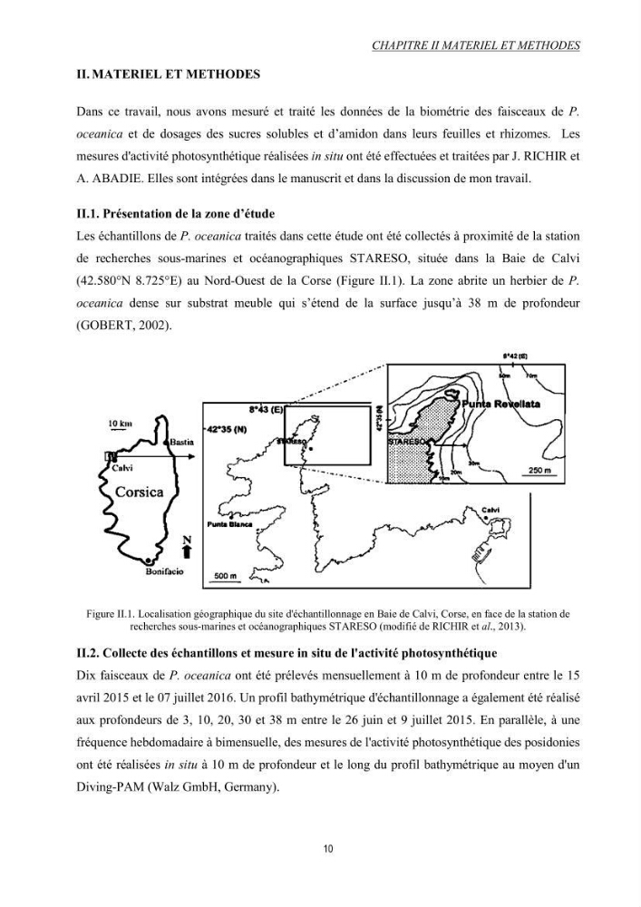 Etude échophysiologique de Posidonia oceanica (L.) Delile