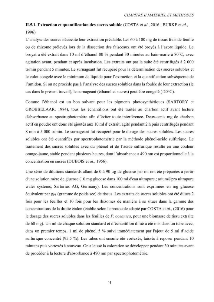 Etude échophysiologique de Posidonia oceanica (L.) Delile