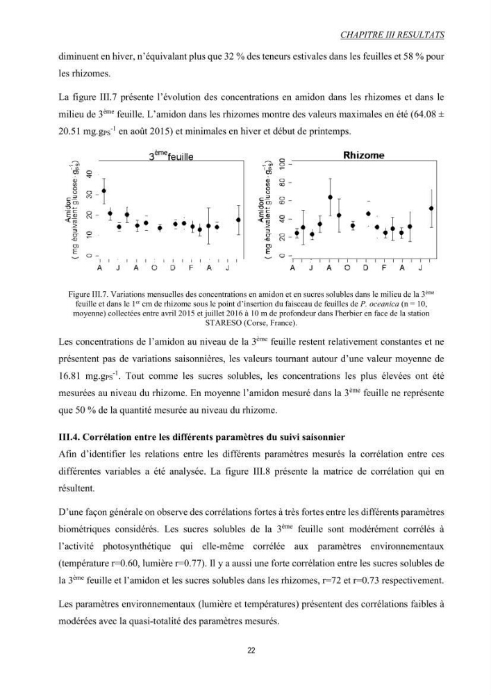 Etude échophysiologique de Posidonia oceanica (L.) Delile