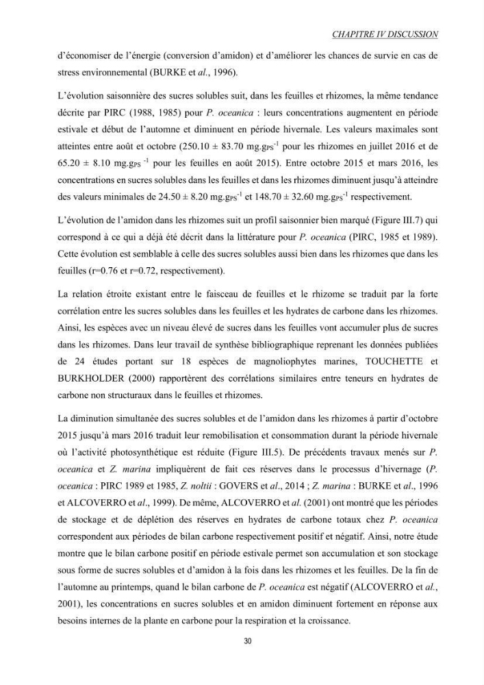 Etude échophysiologique de Posidonia oceanica (L.) Delile