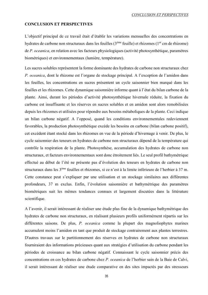 Etude échophysiologique de Posidonia oceanica (L.) Delile