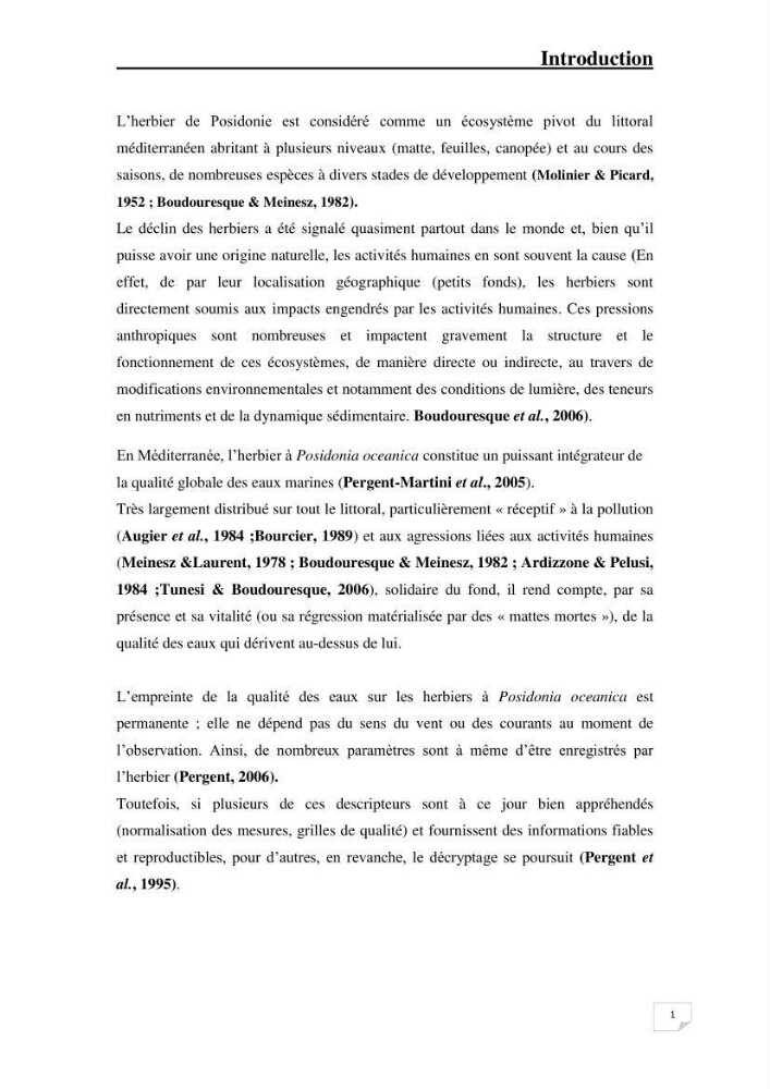 Contribution à l\'étude de l\'impact de la pollution chimique sur l\'herbier à Posidonia oceanica dans la baie d\'El Djamila