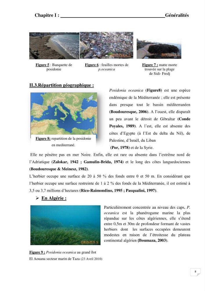 Contribution à l\'étude de l\'impact de la pollution chimique sur l\'herbier à Posidonia oceanica dans la baie d\'El Djamila
