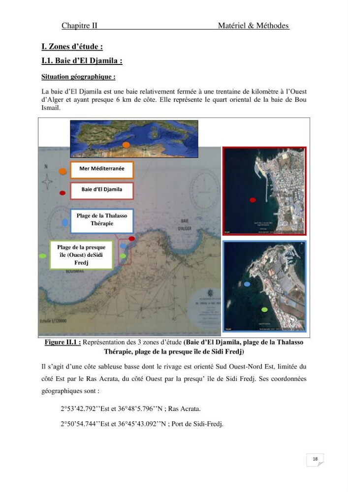 Contribution à l\'étude de l\'impact de la pollution chimique sur l\'herbier à Posidonia oceanica dans la baie d\'El Djamila