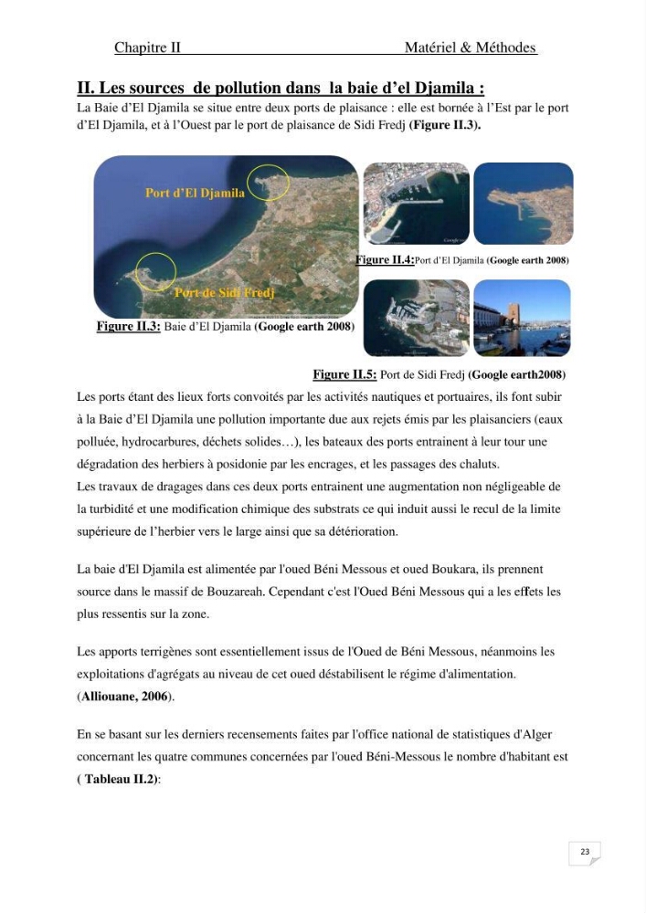 Contribution à l\'étude de l\'impact de la pollution chimique sur l\'herbier à Posidonia oceanica dans la baie d\'El Djamila