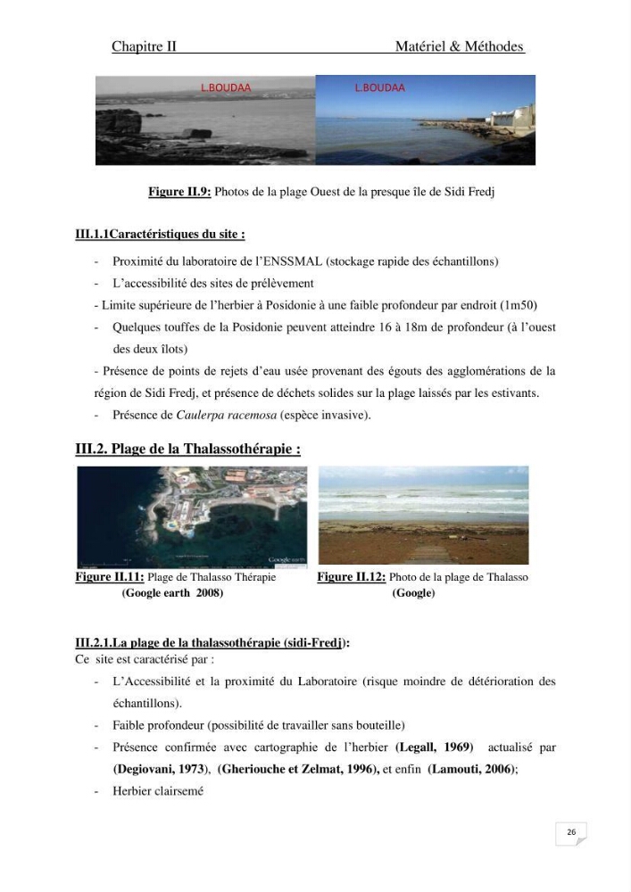 Contribution à l\'étude de l\'impact de la pollution chimique sur l\'herbier à Posidonia oceanica dans la baie d\'El Djamila