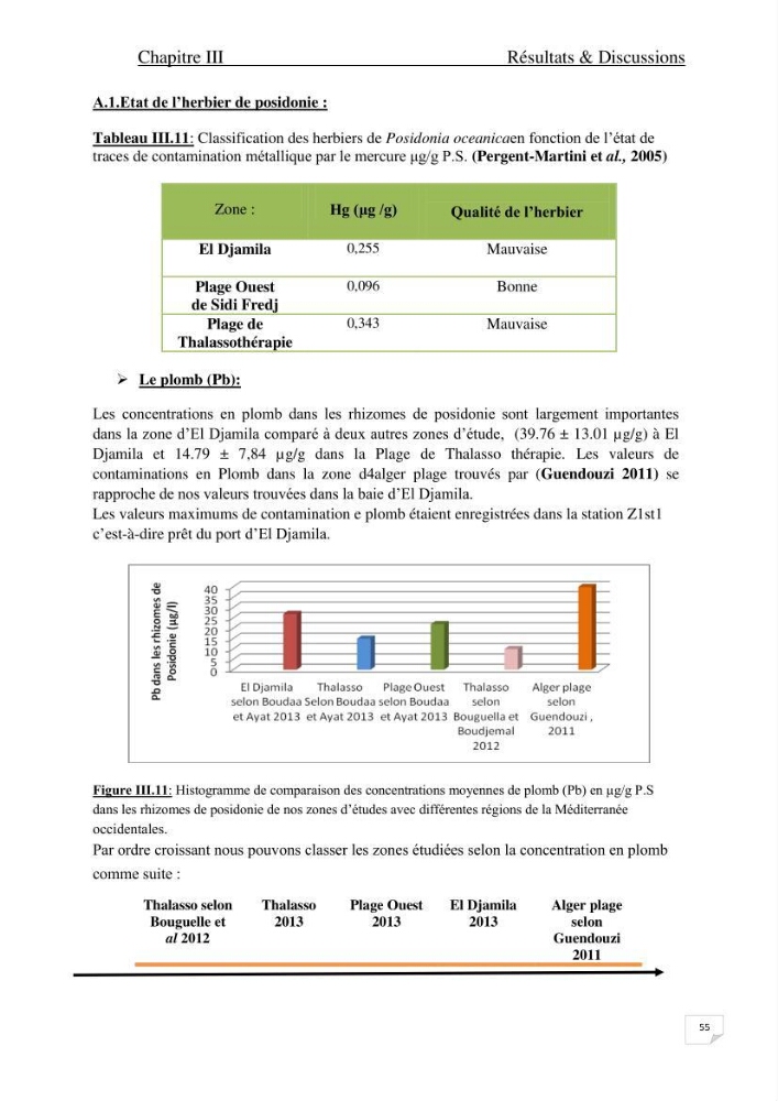 Contribution à l\'étude de l\'impact de la pollution chimique sur l\'herbier à Posidonia oceanica dans la baie d\'El Djamila