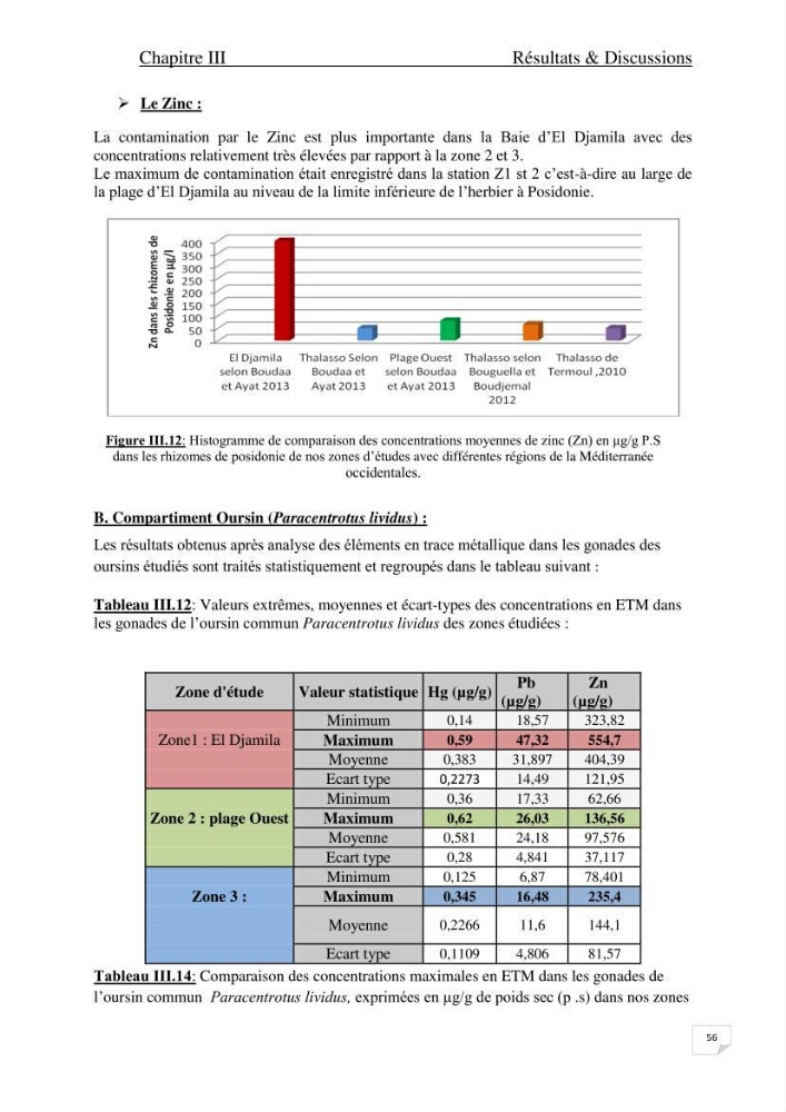 Contribution à l\'étude de l\'impact de la pollution chimique sur l\'herbier à Posidonia oceanica dans la baie d\'El Djamila