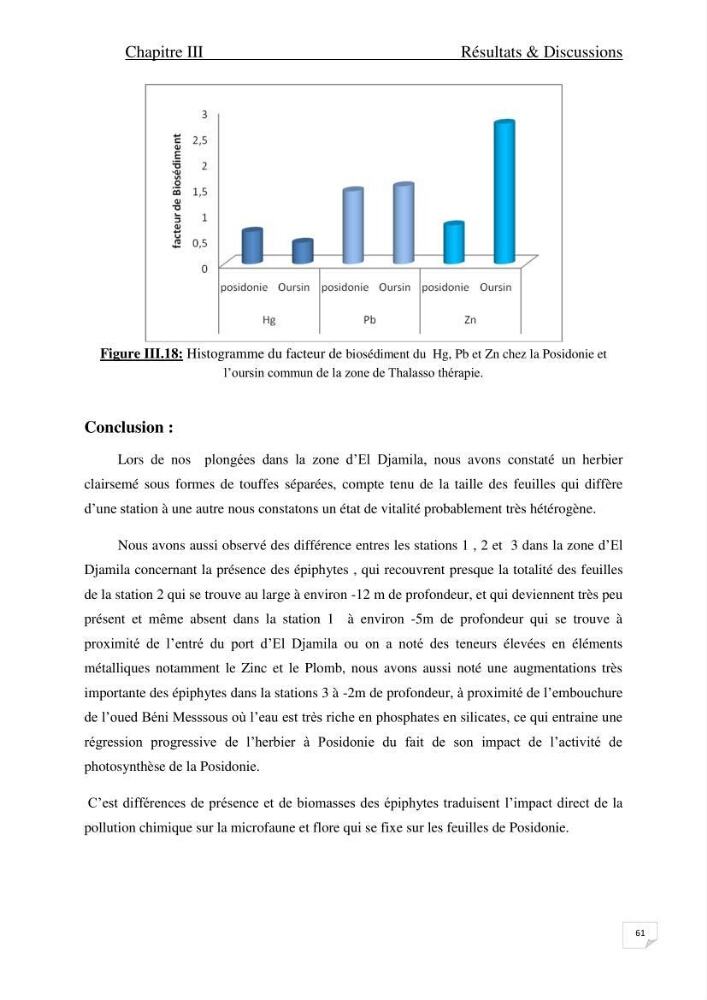 Contribution à l\'étude de l\'impact de la pollution chimique sur l\'herbier à Posidonia oceanica dans la baie d\'El Djamila