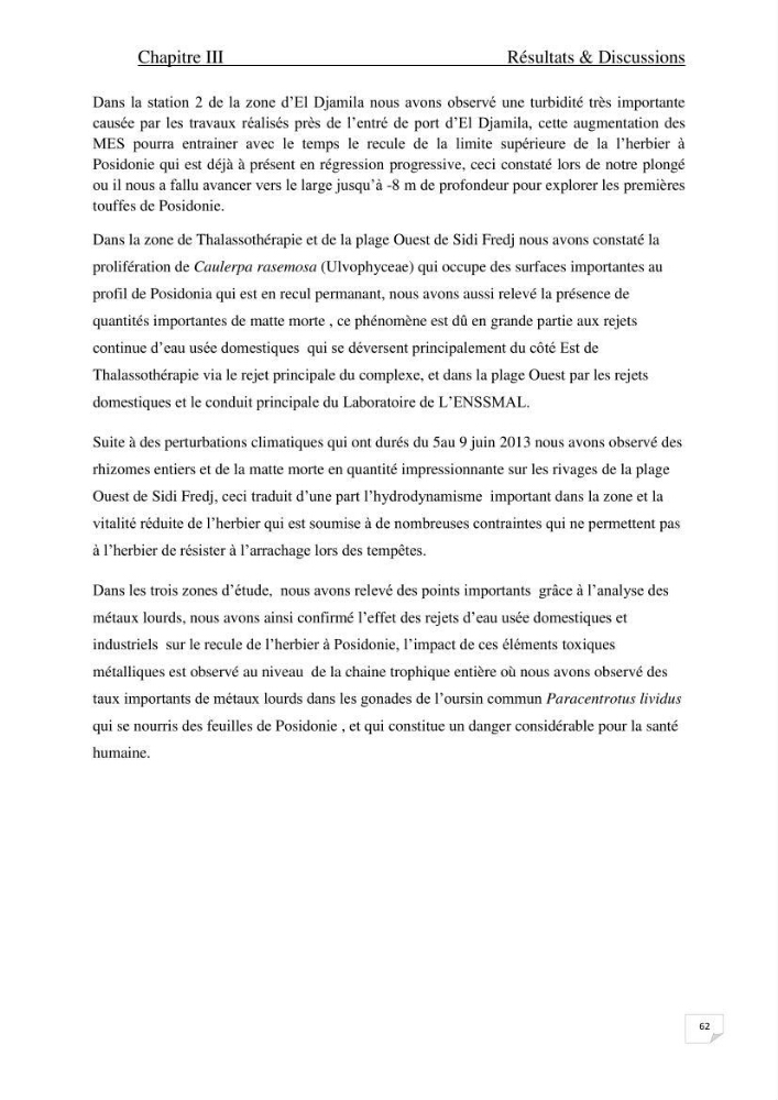 Contribution à l\'étude de l\'impact de la pollution chimique sur l\'herbier à Posidonia oceanica dans la baie d\'El Djamila