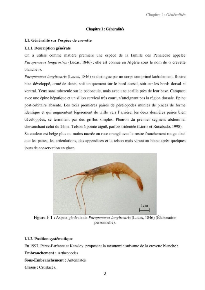 Valorisation des coproduits de la crevette blanche (Parapenaeus longirostris) par des procédés enzymatiques en utilisants des protéases bactériennes.
