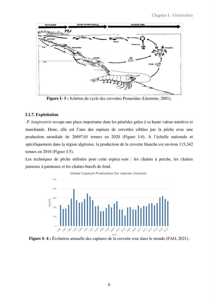Valorisation des coproduits de la crevette blanche (Parapenaeus longirostris) par des procédés enzymatiques en utilisants des protéases bactériennes.