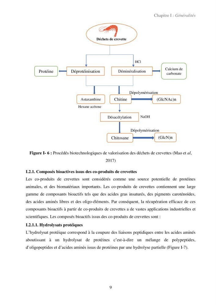 Valorisation des coproduits de la crevette blanche (Parapenaeus longirostris) par des procédés enzymatiques en utilisants des protéases bactériennes.