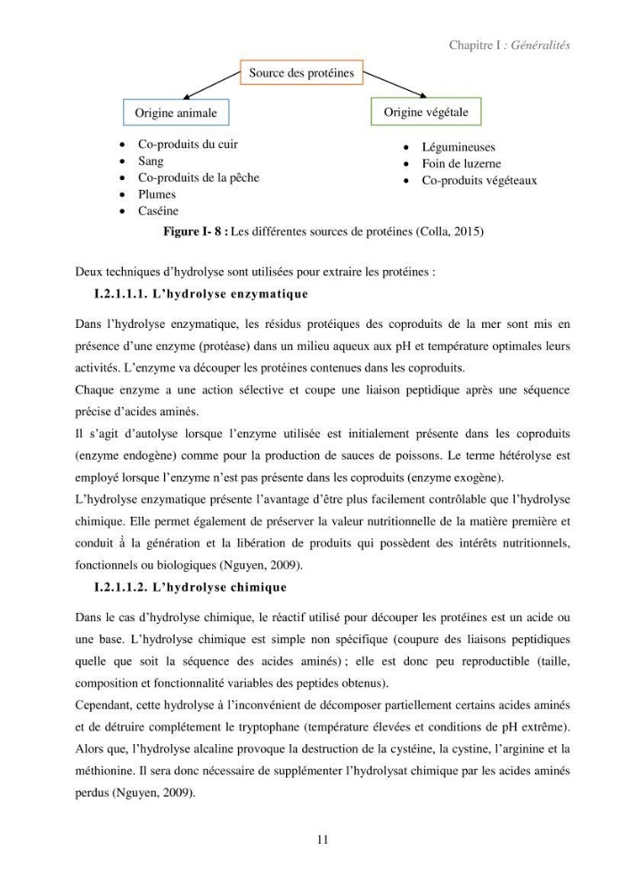 Valorisation des coproduits de la crevette blanche (Parapenaeus longirostris) par des procédés enzymatiques en utilisants des protéases bactériennes.