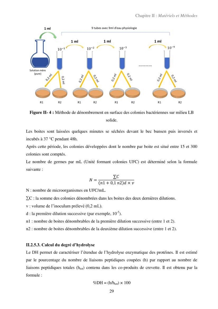 Valorisation des coproduits de la crevette blanche (Parapenaeus longirostris) par des procédés enzymatiques en utilisants des protéases bactériennes.