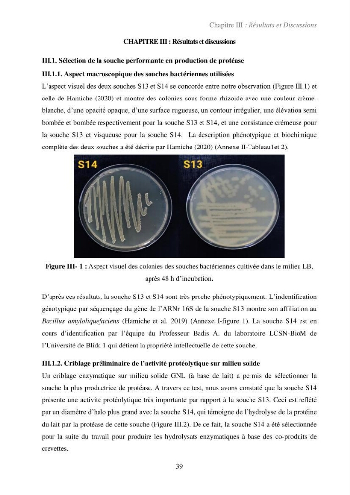 Valorisation des coproduits de la crevette blanche (Parapenaeus longirostris) par des procédés enzymatiques en utilisants des protéases bactériennes.