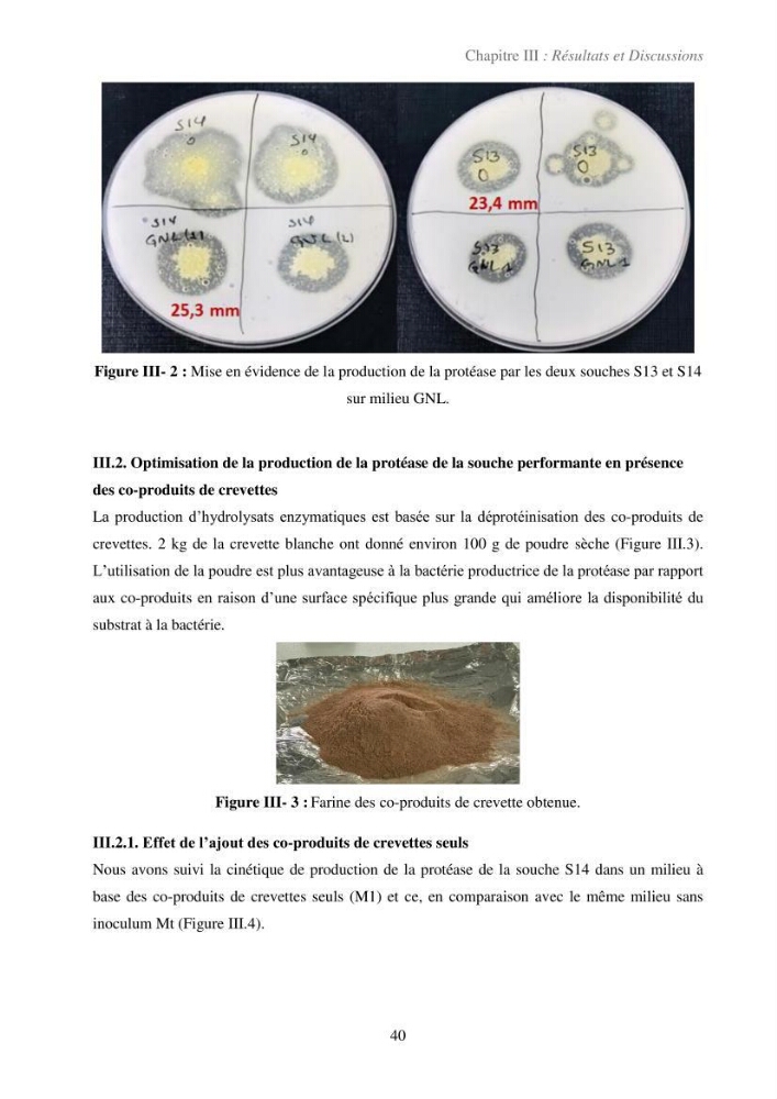 Valorisation des coproduits de la crevette blanche (Parapenaeus longirostris) par des procédés enzymatiques en utilisants des protéases bactériennes.