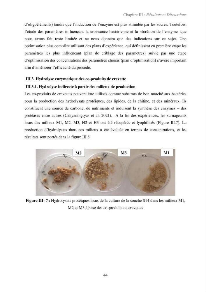 Valorisation des coproduits de la crevette blanche (Parapenaeus longirostris) par des procédés enzymatiques en utilisants des protéases bactériennes.