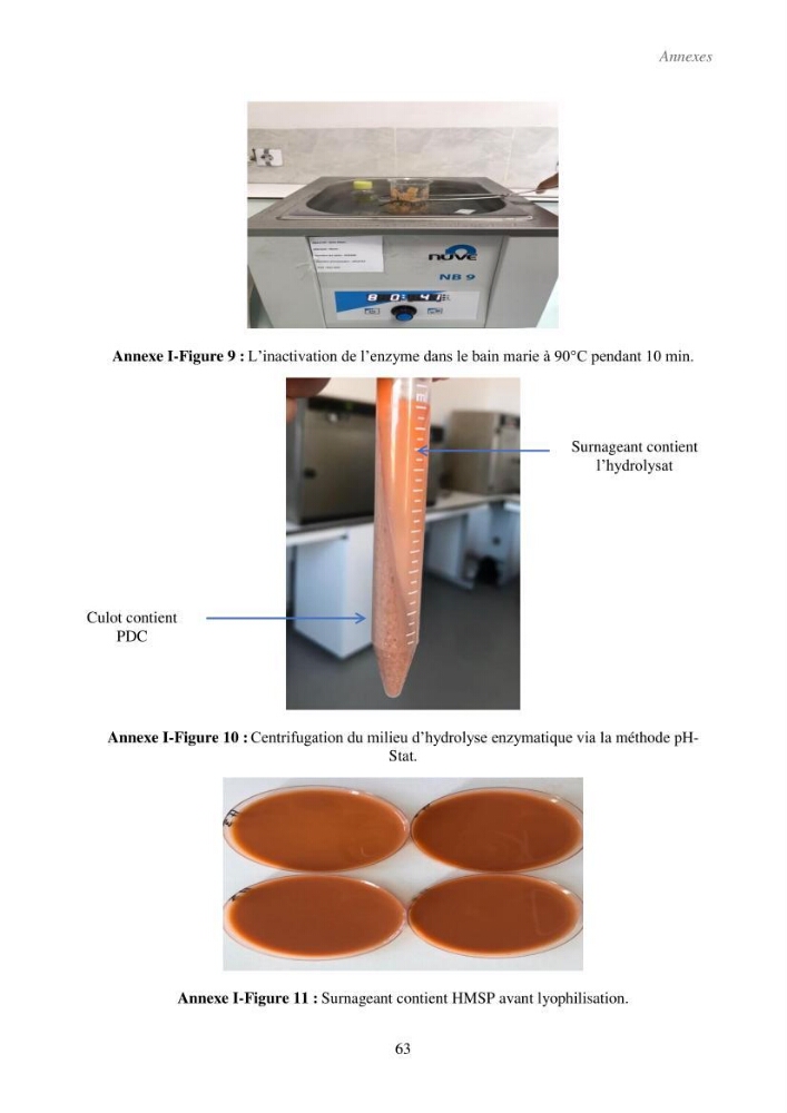 Valorisation des coproduits de la crevette blanche (Parapenaeus longirostris) par des procédés enzymatiques en utilisants des protéases bactériennes.