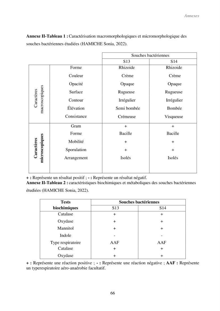 Valorisation des coproduits de la crevette blanche (Parapenaeus longirostris) par des procédés enzymatiques en utilisants des protéases bactériennes.