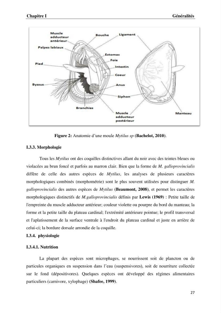 Les métaux traces dans les moules: Etude rétrospective et comparative dans les côtes centrales algériennes (baies de Zemmouri, d’Alger et de Bou-Ismail).