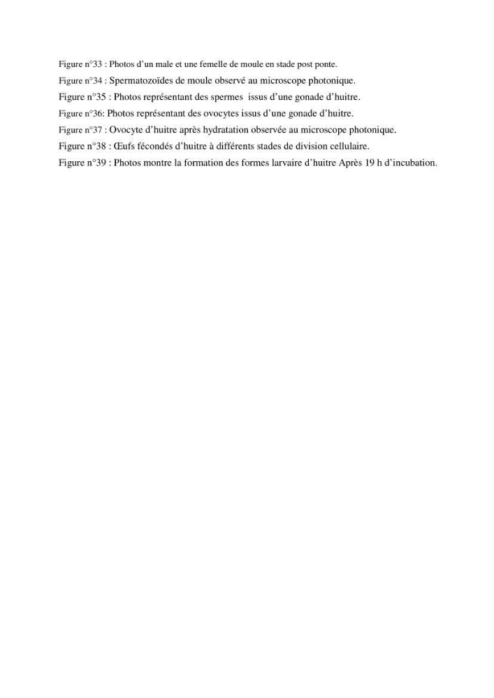 Etude physicochimique et biologique d\'un site conchylicole