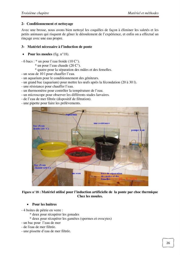 Etude physicochimique et biologique d\'un site conchylicole