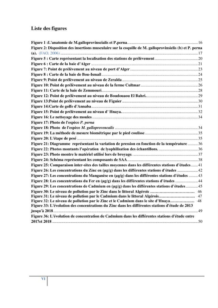 Biosurveillance des métaux traces chez deux espèces de moules (Mytilus galloprovincialis (Lamarck 1819) et Perna perna (Linnaeus 1758)) dans le littoral algérois: