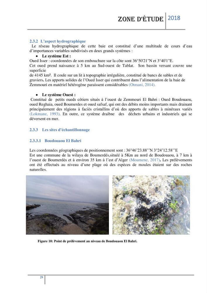 Biosurveillance des métaux traces chez deux espèces de moules (Mytilus galloprovincialis (Lamarck 1819) et Perna perna (Linnaeus 1758)) dans le littoral algérois: