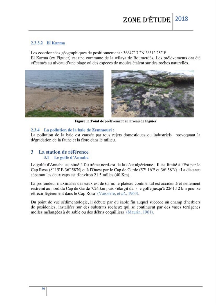 Biosurveillance des métaux traces chez deux espèces de moules (Mytilus galloprovincialis (Lamarck 1819) et Perna perna (Linnaeus 1758)) dans le littoral algérois: