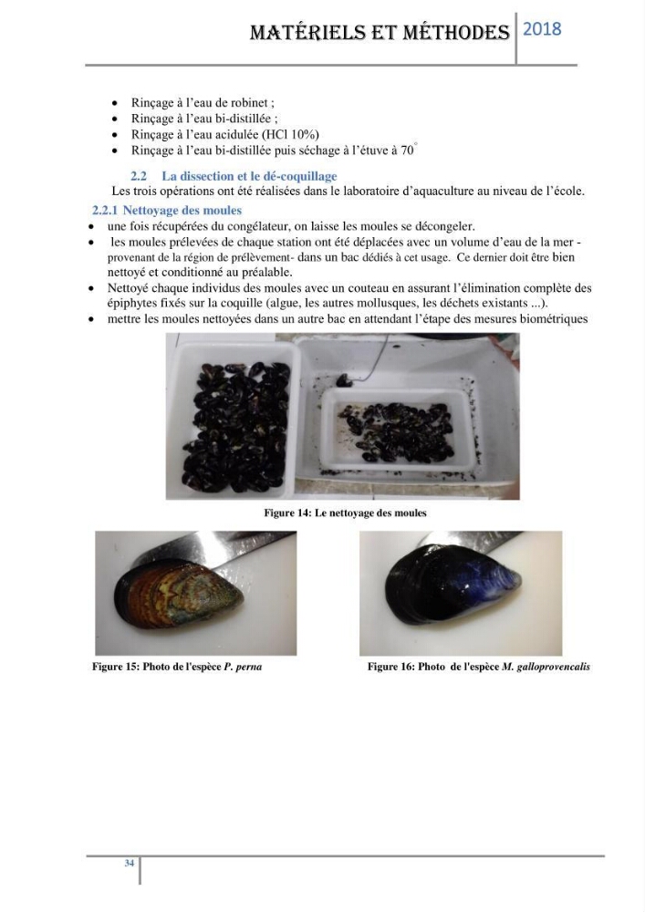 Biosurveillance des métaux traces chez deux espèces de moules (Mytilus galloprovincialis (Lamarck 1819) et Perna perna (Linnaeus 1758)) dans le littoral algérois:
