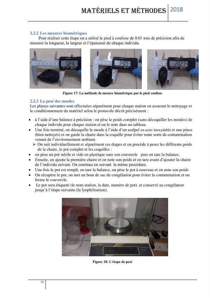 Biosurveillance des métaux traces chez deux espèces de moules (Mytilus galloprovincialis (Lamarck 1819) et Perna perna (Linnaeus 1758)) dans le littoral algérois:
