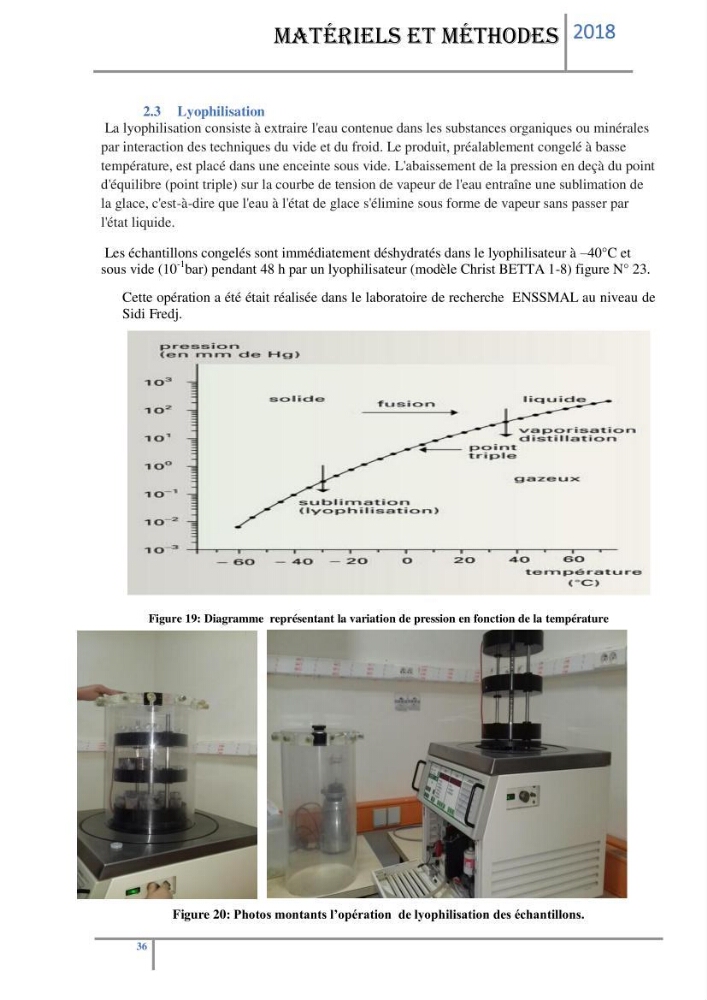 Biosurveillance des métaux traces chez deux espèces de moules (Mytilus galloprovincialis (Lamarck 1819) et Perna perna (Linnaeus 1758)) dans le littoral algérois: