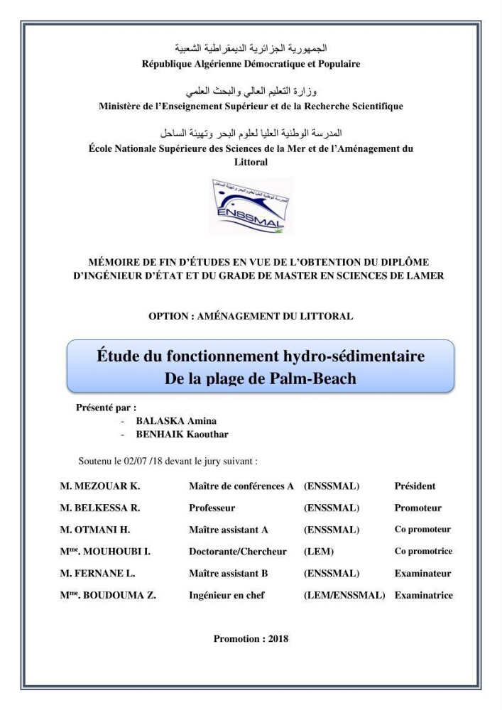 Etude du fonctionnement hydro-sédimentaire De la plage de Palm-Beach