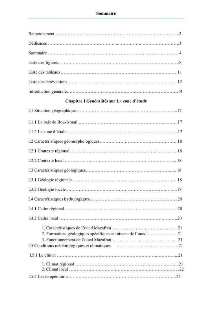 Etude du fonctionnement hydro-sédimentaire De la plage de Palm-Beach