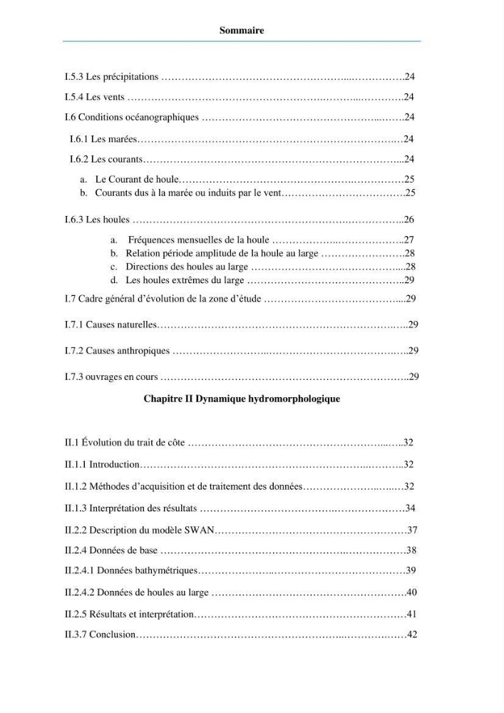 Etude du fonctionnement hydro-sédimentaire De la plage de Palm-Beach