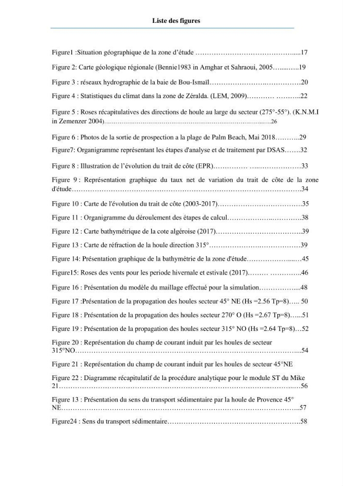 Etude du fonctionnement hydro-sédimentaire De la plage de Palm-Beach