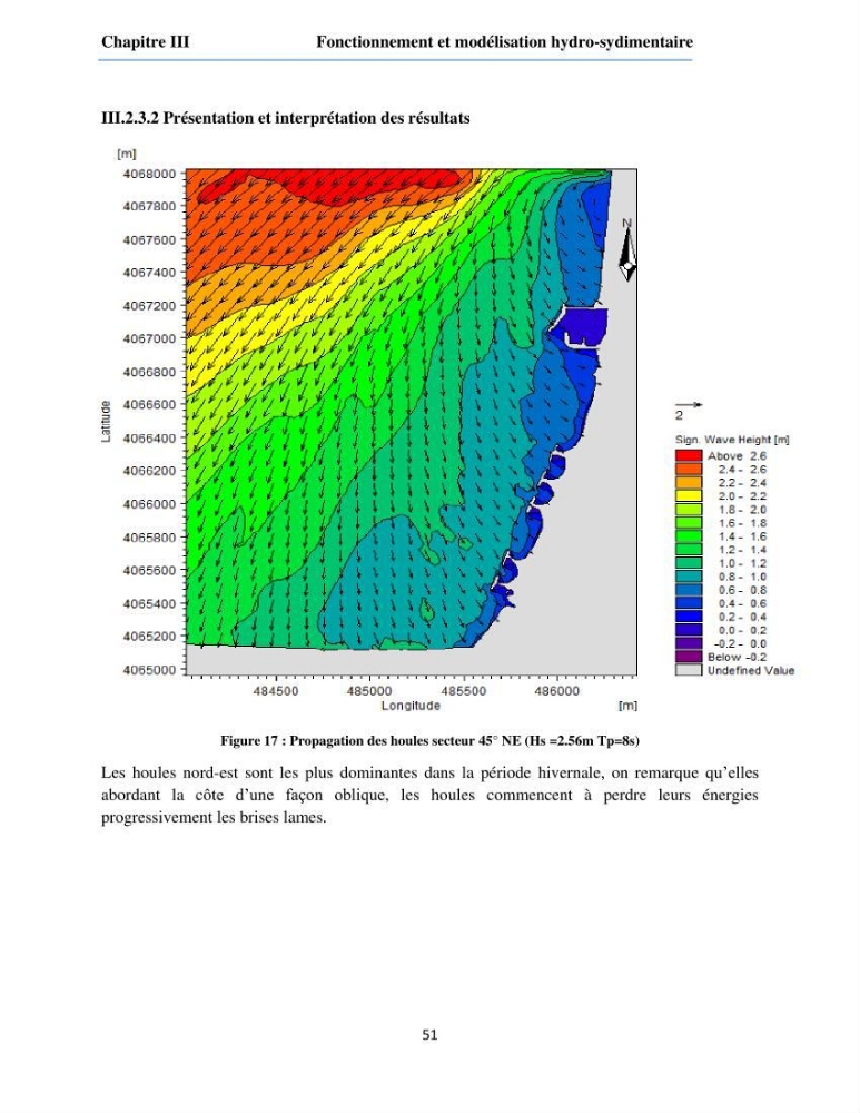 Etude du fonctionnement hydro-sédimentaire De la plage de Palm-Beach