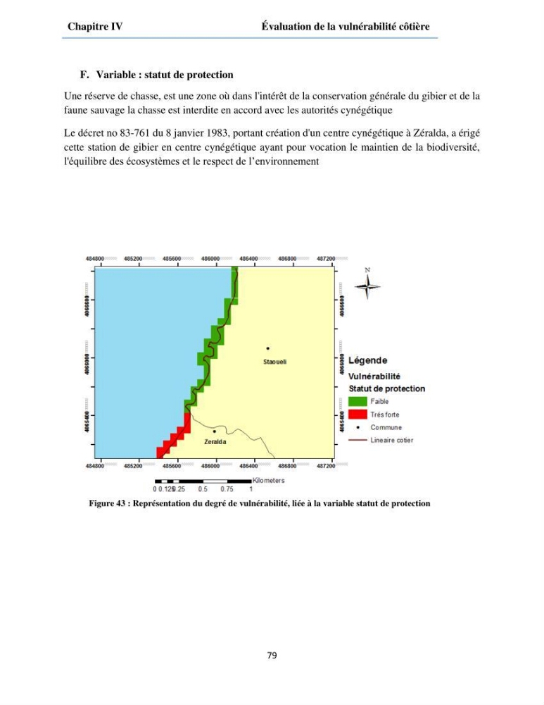 Etude du fonctionnement hydro-sédimentaire De la plage de Palm-Beach