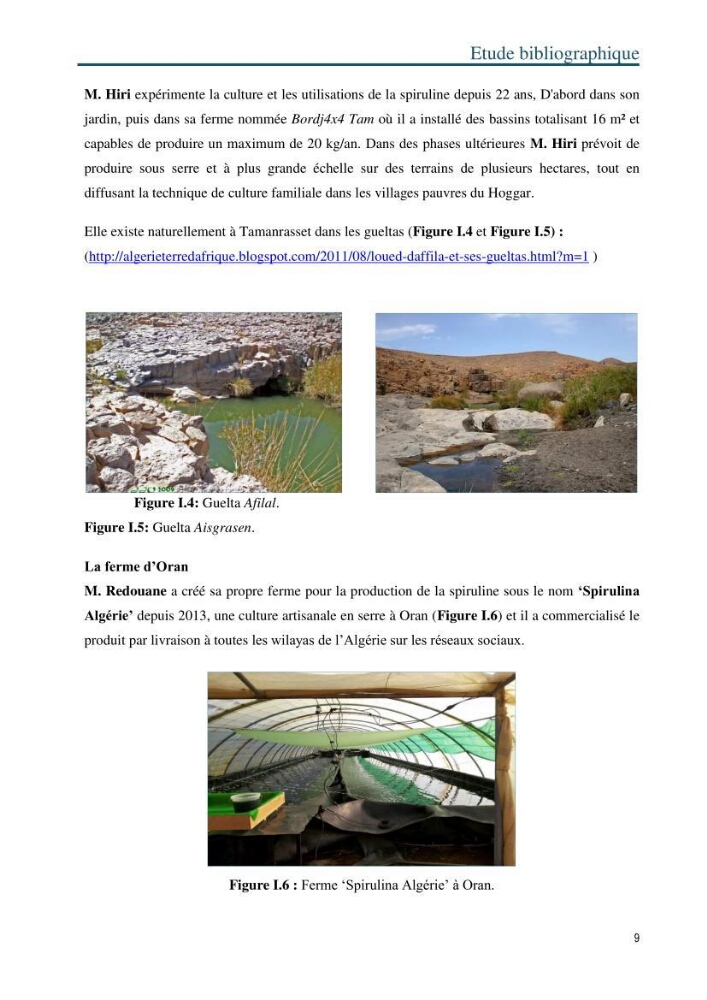 Production de la spiruline (Arthrospira platensis) dans des conditions de culture différentes